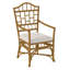 Chippendale Upholstered Arm Chair-1220169757-1252848227