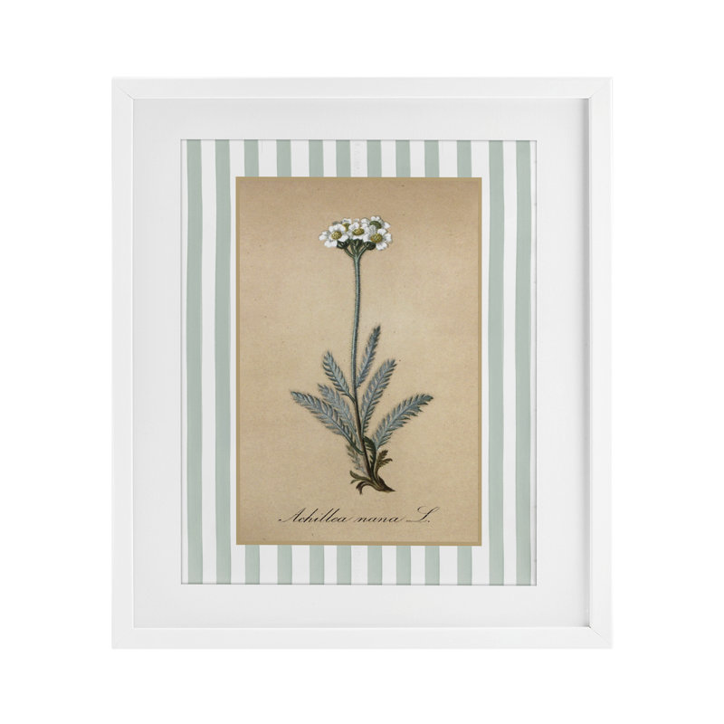 Wild Herb avec rayures vertes, reproduction encadrée sous verre, design avec lettres et doublure, H 21 po x l 17 po