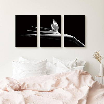 «Oiseaux de paradis en noir et blanc», 3 pièces
