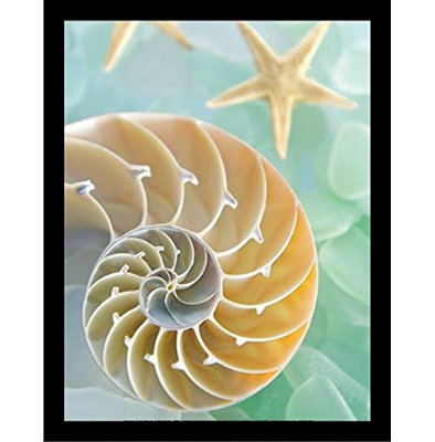 « mer 2 (nautilus) », impression sur affiche encadrée