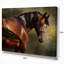 The Thoroughbred - impression sur toile tendue-18437496