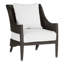 Athena Patio Lounge Chair with Cushions-1335057193-1335057315-1319111401