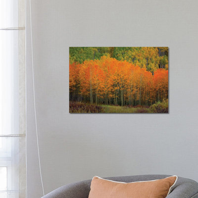 The Orange Flames Of Autumn by Bill Sherrell - Wrapped Canvas Print