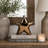 Raines Distressed Star-972823463-972832761