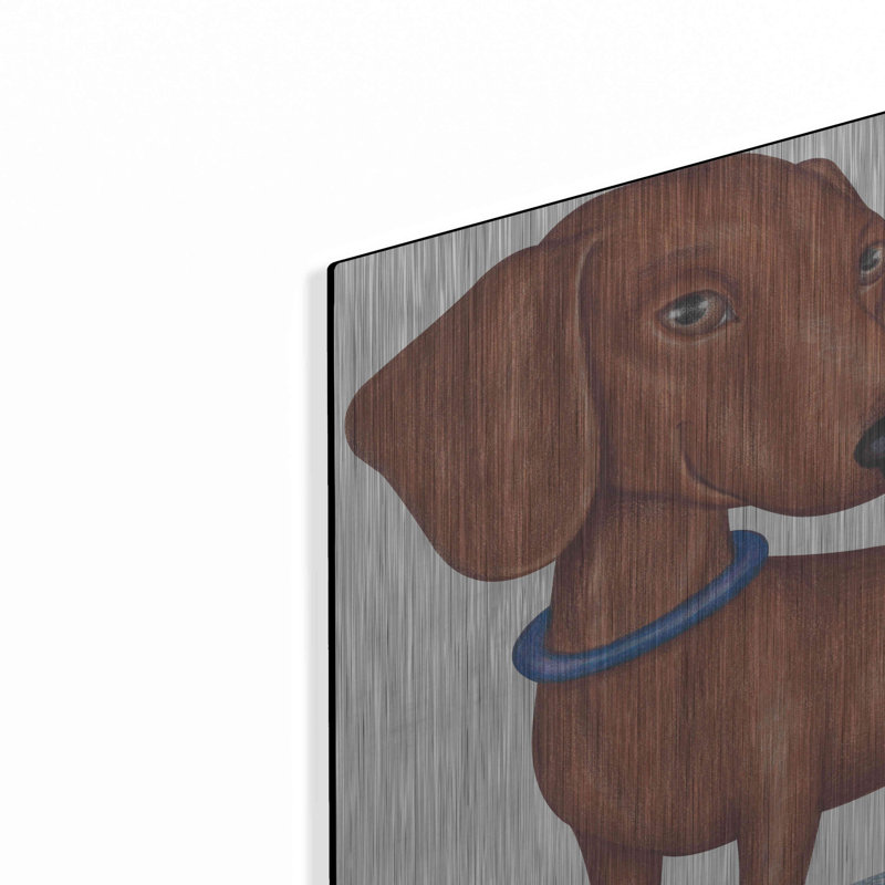 «Brown Dachshund Blue Collar» par Danny Gordon, H 12 po x l 16 po