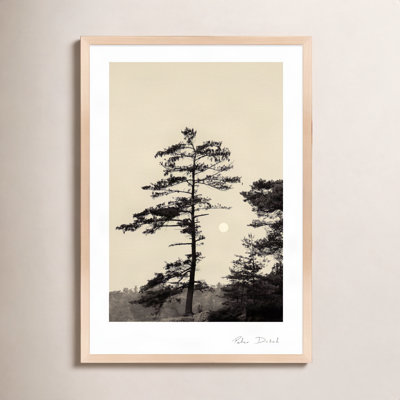 Garden Sign "Serenity" Print by Peter Dušek
