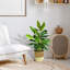 40 po plante artificielle en panier