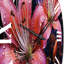 Charteris - Horloge murale florale-930121482