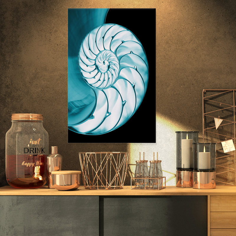 « compartimented nautilus shell », impression sur toile tendue, H 32 po x l 16 po x P 1 po
