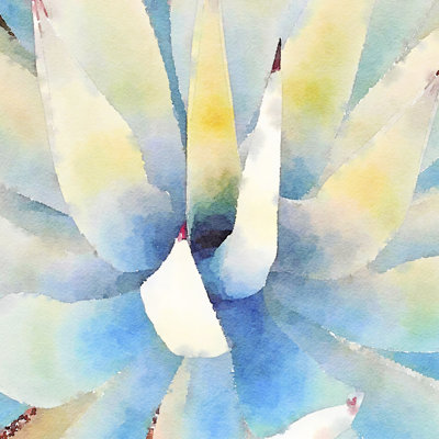 Succulente IX 1 Piece Wrapped Canvas Painting