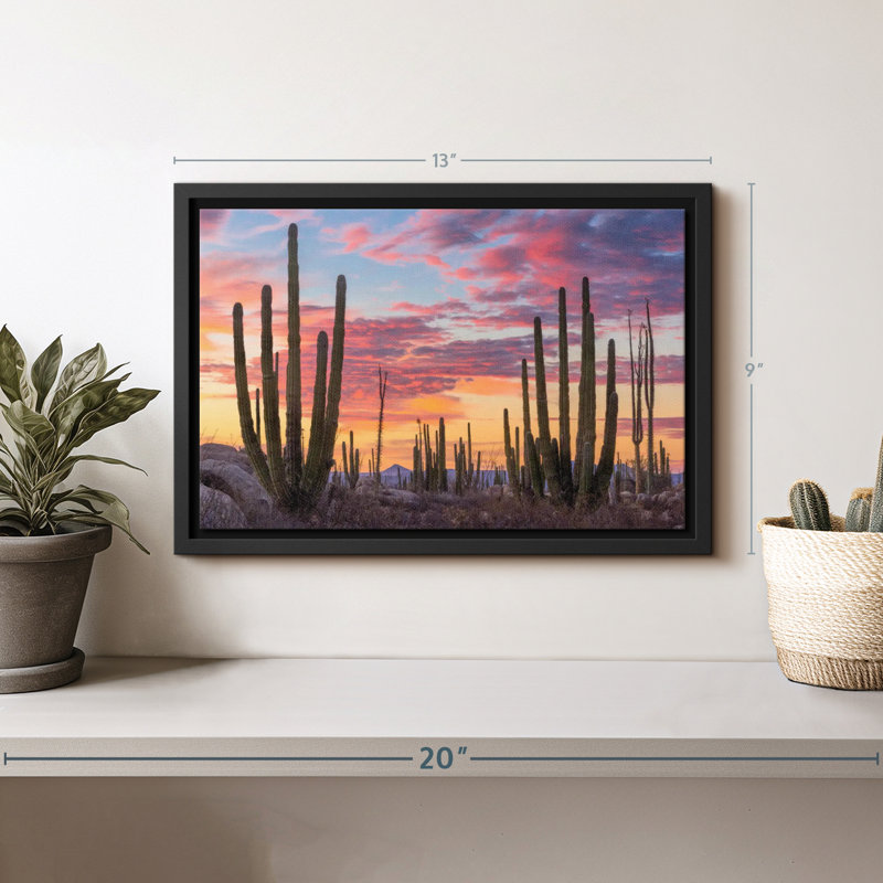 Nature «Art mural Baja California Sunrise», H 9 po x l 13 po