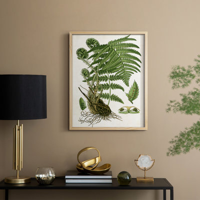 Fern I Framed Print - Solid Wood