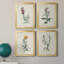 Traditional Botanical I - Ensemble de 4 peintures sur toile encadrées-1478529741-1478529719