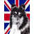 Collie noir et blanc sélectionné