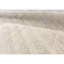 Wool Area Rug in Ivory