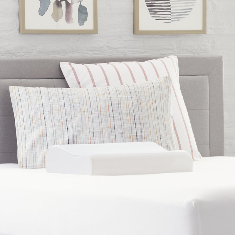 Ergonomic White Memory Foam Contour Pillow with Mesh Cover
