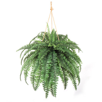 Ensemble de 4 plantes artificielles en fougère