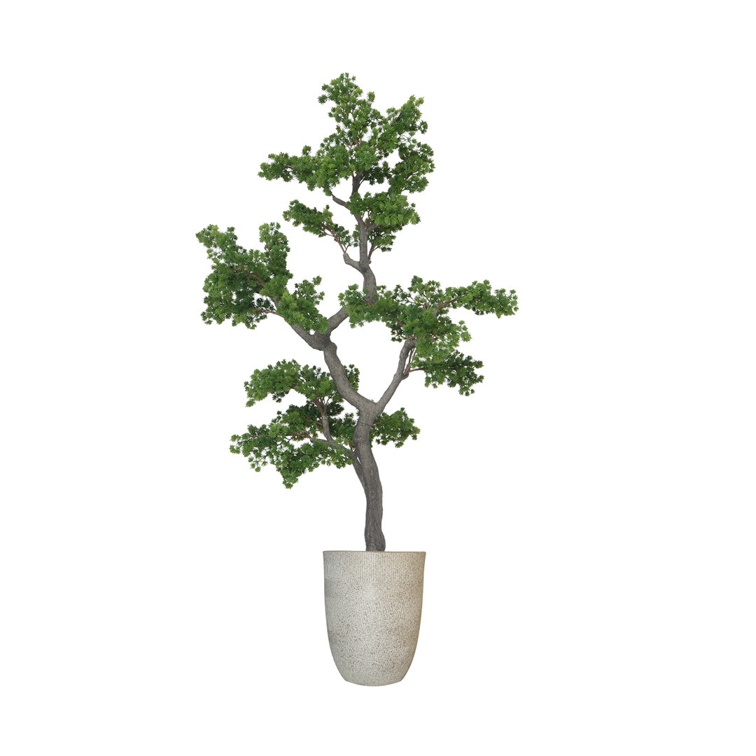 63" Artificial Faux Bonsai Tree | Real Touch Faux Bonsai Tree in a short white fiberstone planter Primrue