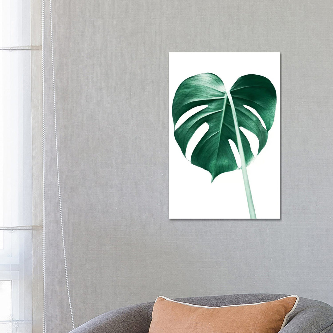 Monstera Leaf