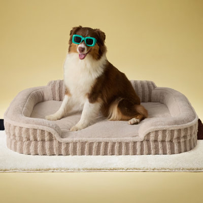 Lit pour chien Lesure, lit orthopédique imperméable pour animaux de compagnie avec côtés, fond antidérapant à haut dossier et canapé en mousse pour caisse d'œufs avec housse amovible et lavable