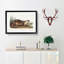 Canadian Otter by J.W. Audubon - Picture Frame Painting Print on MDF-55514025-55514028