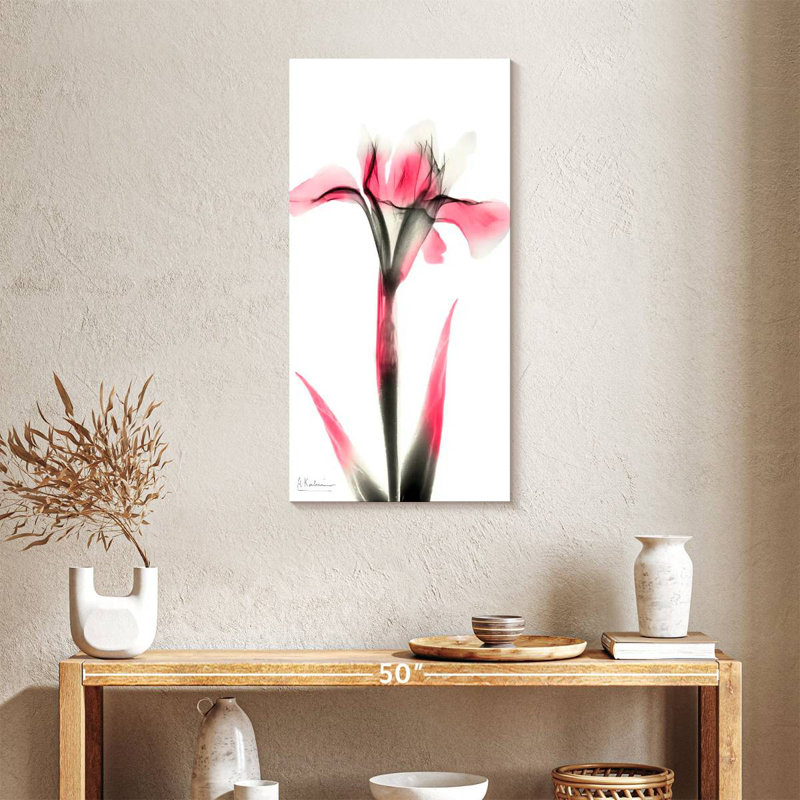 Pink Infused Iris I