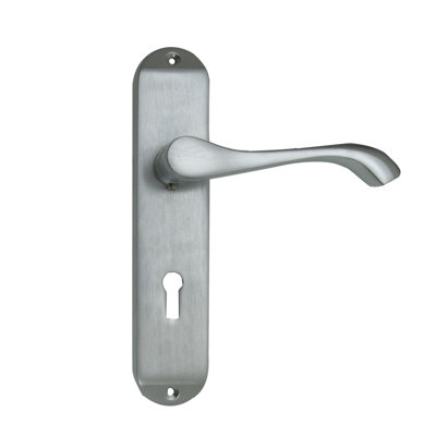 Itasca Lock Door Handle