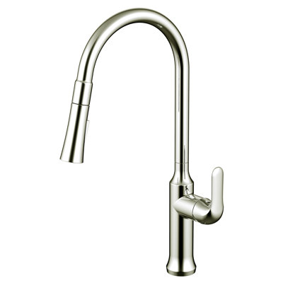 Daweier Pull Out Kitchen Faucet