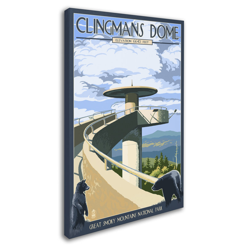 Publicité rétro sur toile Kadey «Clingmans Dome», H 19 po x l 12 po x P 2 po
