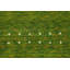 Tapis vert fait à la main 5 x 8 po Gabbeh