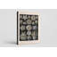 Art mural, "Tafel 80" par Blastoidea (1904)-129977552