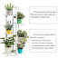 Solid Wood 5 Tier Plant Stand