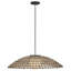 Arlen Outdoor Pendant-1080312500