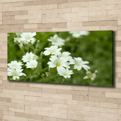 Spring Flowers - Wrapped Canvas Print