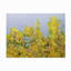Toile d'extérieur «Clinging VInes» par Allan Friedlander-87945284
