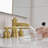Bathroom Faucet-97833246