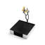 Butterfly Ginkgo Flat Napkin Holder