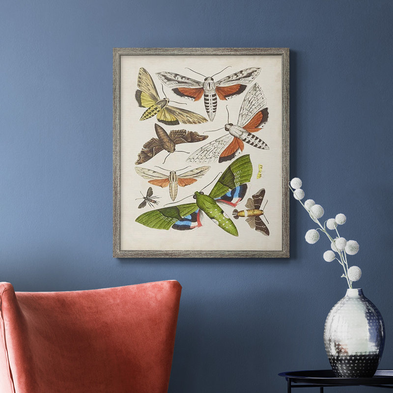 Toile encadrée de qualité supérieure Antique Moths II - prête à être accrochée, Argent patiné, H 24 po x l 20 po