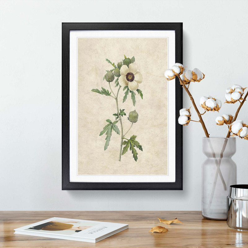Hibiscus Flower by Pierre-Joseph Redoute - Picture Frame Painting Print, 48cm H x 36cm W x 2cm D, Black Framed