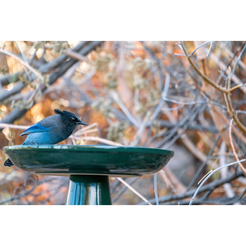 Summer Green Ceramic Pedestal Bird Bath with Locking Top