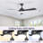 Damecia 52'' Modern Ceiling Fan With Led Light And Remote Control Dc Motor-377536295