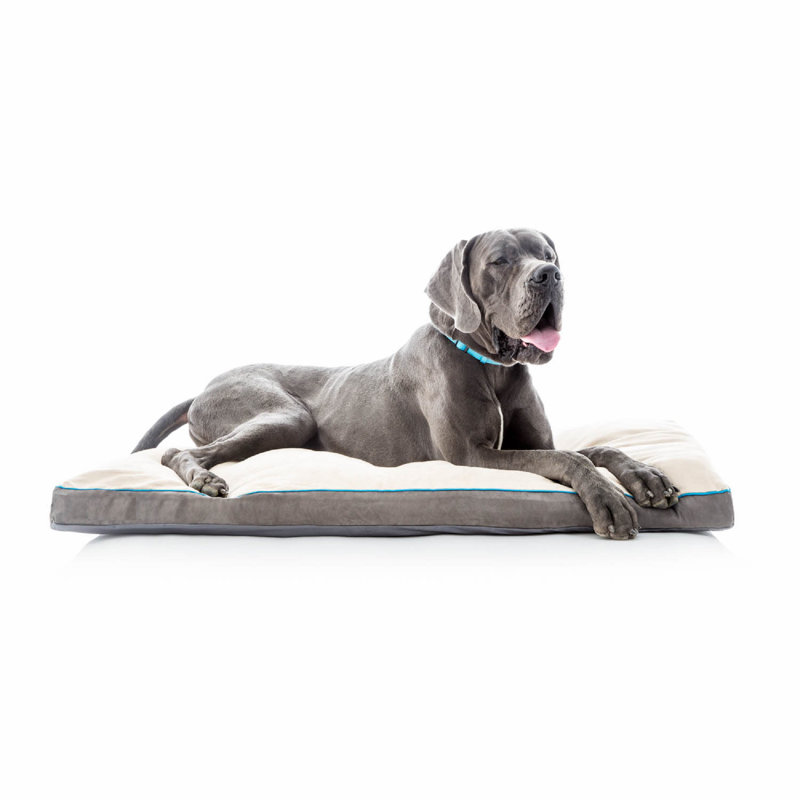 Matelas déchiqueté pour animaux de compagnie Costello, Kaki, Moyen (l 28 po x P 18 po x H 3 po)