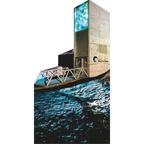 H13698 Svalbard Global Seed Vault Bank