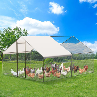 9.8 x 13.1 x 6.6 FT Walk-In Metal Chicken Coop – Covered Run, Spire Roof, Secure Lock, All-Weather Backyard Aviary for Poultry, Ducks & Rabbits