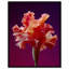 Taffeta Twilight I Print by Oliver Gal-1936432539-1936432542