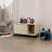 Polygala 3 - Shelf Accent