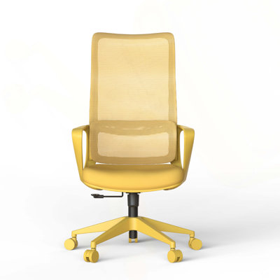 Ergonomic Colorful Office Chair 350LBS Home Office Mesh Breathable High Back, With Adjustable Lumbar Support Computer Chair, Integrated Molded Foam Se
