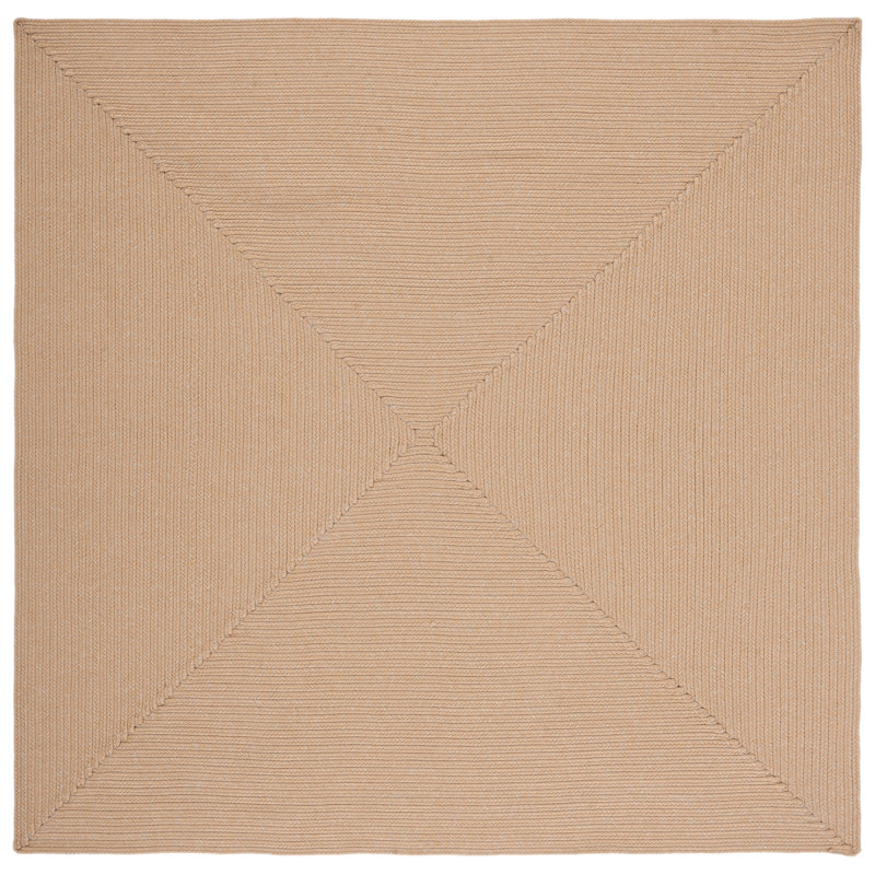 Tapis d'intérieur / extérieur tissé à la main tressé à la main, Carré 8 pi