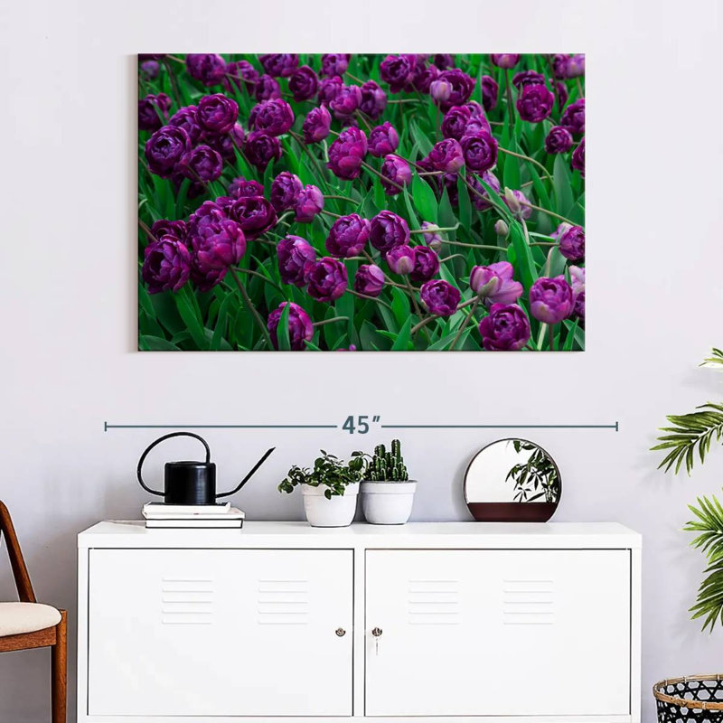 Alvord Violet Tulips
