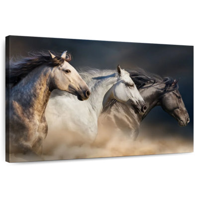 Cheval sauvage raffiné Brampt